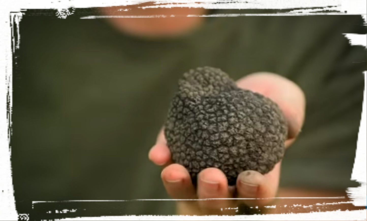 Schwarze Sommertrüffel (Tuber Aestivum - Scorzone) - (Anzahl 1 = 500 g.)